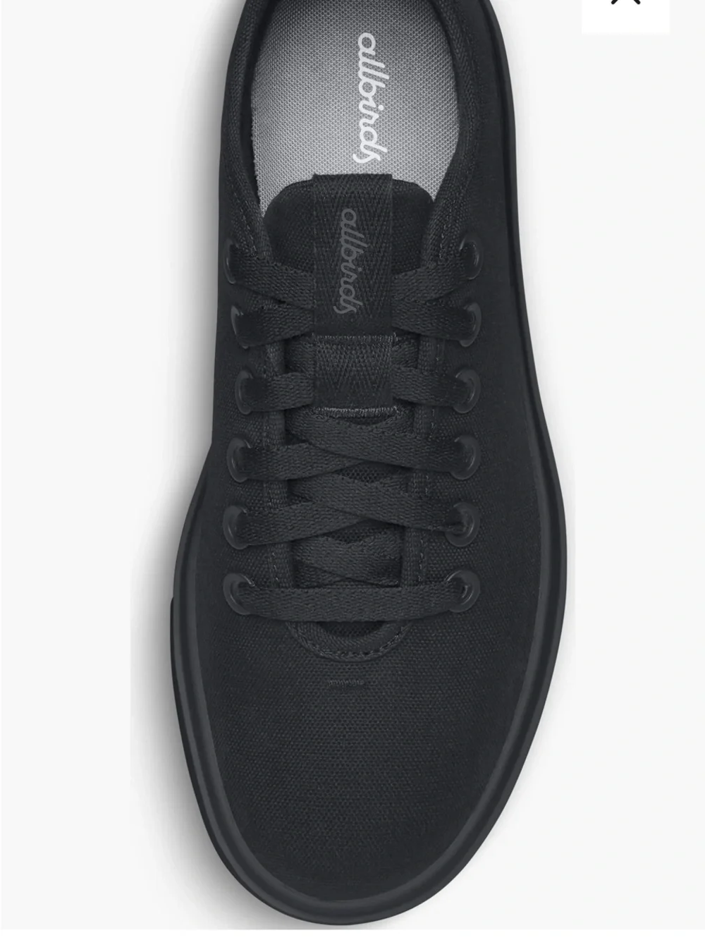 allbirds classic black